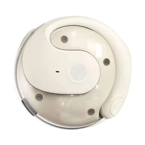 Simultaneous Interpretation Earphone for Travelers